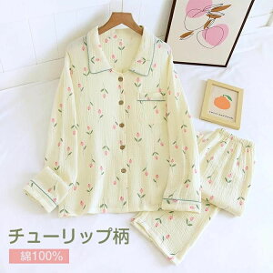 Y pW} t  H ~  OJ  100 K[[ dK[[ gvK[[  [EFA  wlp