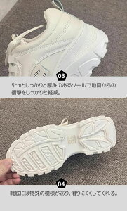 Xj[J[ C _bhXj[J[ fB[X   ؍ Cq[ 22.5cm`25.0cm X|[c tďH~ x[W 5cmq[ 10