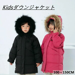 _ER[g LbY@WjA@_ER[g@j̎q ̎q@_EWPbg t@[t O ʊw LbY h H~ WjA AE^[ ~ ʉ AEghA L