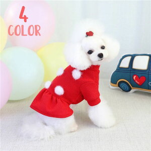  hbOEFA ybgEFA s[X  L ^ ^ t jbg tA || XJ[g 킢  H ~ bh sN u[ O[   