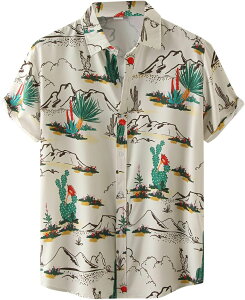 Vc Y  JWA  ԕ An Vc Y  Vc AnVc r[`Vc  ʋC nC