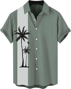 ʋCVc vg AnVc Y J݃Vc  ԕVc nC y  ʋC z y r[`Vc