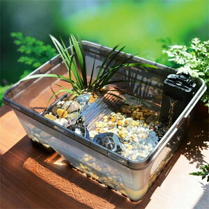 T̐ T   vX`bNNK  P[X  vr ঒ P[W   ق̗ atώ@ KitB[hgC  ybgpi