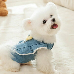  H~ s[X  h pEFA ^  p ybgEFA  t H WPbg g  lC  ̎q j̎q v[g