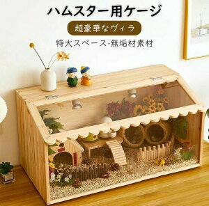 nX^[pP[W ybgpP[W _[`LpP[W ؑZ ؑ 傫 P[W AN nEX ؃Zbg nX^[pnEX  nX^[ P[W nX^[P[