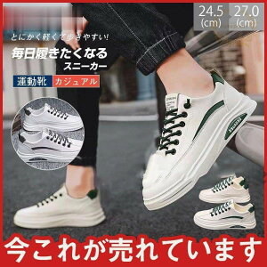 Y Z[ Xj[J[  PU fbLV[Y  Vv WjA  JWA t@bV   ʊwC