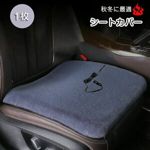 ԗp V[gq[^[ 12V J[V[g ^] 1 ԍ V[gq[^[ ԗp zbgJ[V[g J[V[gJo[ ߔMh~ q[gV[g x@\  g[ ԍڗp J[V[g ~