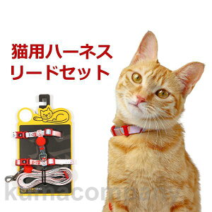 n[lX [h   Lp ybg ʋC [h n[lXZbg ybgpi  U EȒP Ռz g[jO Oo  S