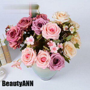 V \[vt[ 1{Zbg EGfBOu[P   ԉ u[P  ԑ [Y uC_u[P EFfBO AWg A[gt[ CeAt  