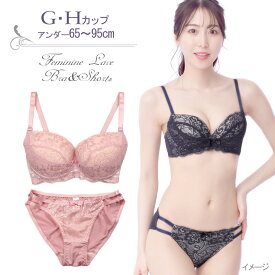 フェミニンレースブラジャー&ショーツセット下着(J6020) G H 65 70 75 80 85 90 95 大きいサイズ ※特価につきまとめ買い割引対象外