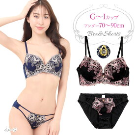 脇高オリエンタルレースブラジャー&ショーツセット下着(J5092) G H I 70 75 80 85 90 大きいサイズ