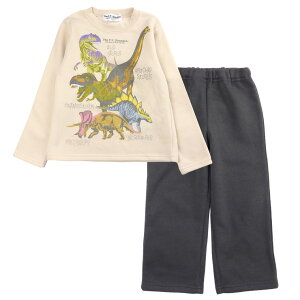  N ~ pW} ㉺Zbg LbY WjA H~t 100 110 120 130 N[ 434DN1111 THE F.Y. Dinosaur _Ci\[  Y{ [EGA ێ pW} eBmTEX g