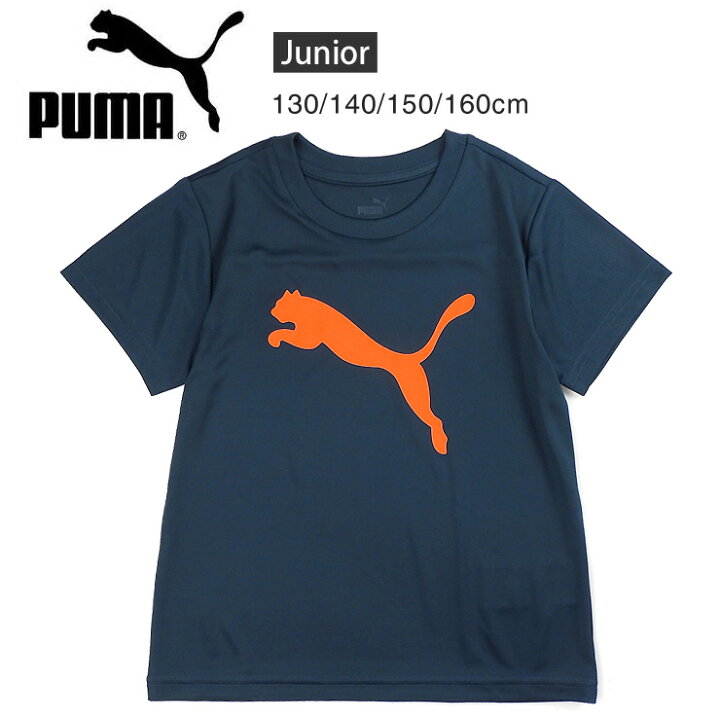 楽天市場】PUMA ACTIVE SPORTS ポリキャットTシャツ キッズ・ジュニア 