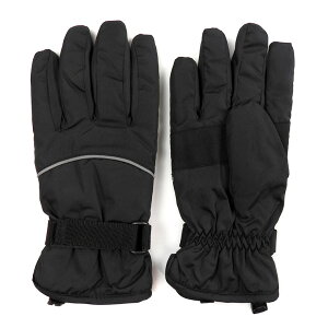 XL[O[u fB[X H~ 21cm  4234 ubN wl 5{w XL[ Xm[O[u N t[X ~ 3MVT[g @\ȑf 