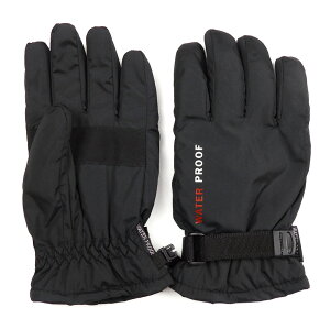 yGg[Ń|Cg10{ 11/20 20`zXL[O[u fB[X H~ 21cm  4235 ubN wl 5{w XL[ Xm[O[u N t[X xg ~ h 