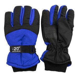 yGg[Ń|Cg10{zEC^[O[u LbY WjA H~ 5{w `10 YGH-AW2410 S6F qǂ j̎q j c ̎q  XL[O[u wZ ʉ ʊw AEghA 