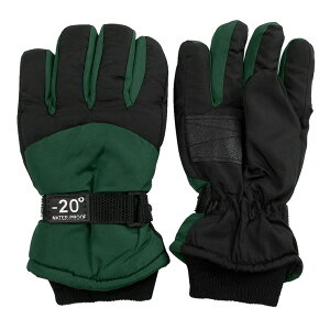 yGg[Ń|Cg10{zEC^[O[u LbY WjA H~ 5{w `10 YGH-AW2410 S6F qǂ j̎q j c ̎q  XL[O[u wZ ʉ ʊw AEghA 