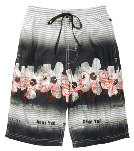 Y {[_[ T[tpc  M L LL XCEFA amp Cp Cpc gNX 4903 ԕ t[ nCrXJX ubN lCr[ 傫TCY