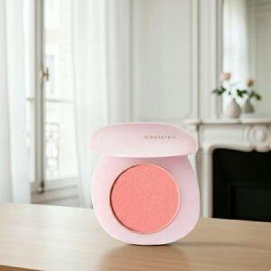 SNIDEL BEAUTY �X�i�C�f���r���[�e�B�[ ���[�t�H���b�N �O���E �u���b�V�� 2.5g�^�p�E�_�[�`�[�N