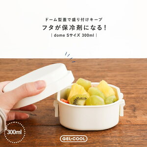 ٓ ٓ `{bNX ۗ WFN[ h[^ STCY i H@Ή WΉ dqWΉ RpNg  GEL-COOL ۗ܈̌^ { t[c T_ l 