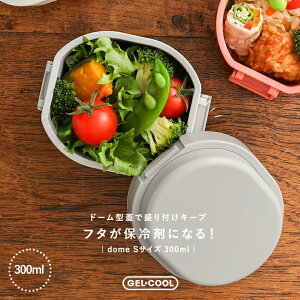 ٓ ٓ `{bNX ۗ WFN[ h[^ STCY i H@Ή WΉ dqWΉ RpNg  GEL-COOL ۗ܈̌^ { t[c T_ l 