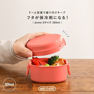 ٓ ٓ `{bNX ۗ WFN[ h[^ STCY i H@Ή WΉ dqWΉ RpNg  GEL-COOL ۗ܈̌^ { t[c T_ l 