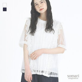 『シースルー袖クラシカルレースブラウス』[somari imagination ブラウス レディース 春夏 トップス 半袖 総レース スカラップ スタンドカラー 透け感 シアー 涼しい]※メール便可※【10】