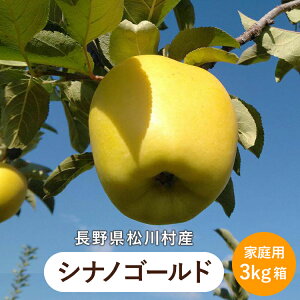  VimS[h 3kg  ( ƒp )  ь S _ 쌧 쑺 ܖ MB _ Â Ö  ʏ` Z Ƃꂽ 
