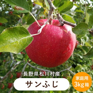  Tӂ 3kg  ( ƒp )  ь S _ 쌧 쑺 ܖ MB _ Â Ö  ʏ` Z Ƃꂽ 