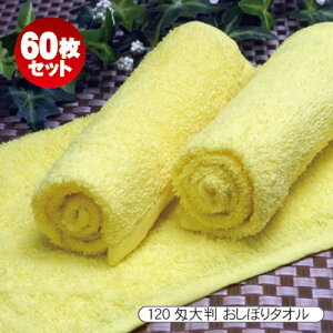 yyΉ  bg̔zvdl 120 CG[F 唻 60ZbgƖpڂ^I/ڂ/J[^I 唻×^Cv