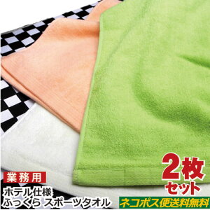 ӂ X|[c^I 2Zbg xOTCY538 Ɩp tFCX^I zedl  炩    J[^I X|[c  i g OWA