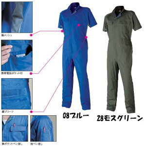 yrbOTCYzytėpzȂ 4L/5L ebV