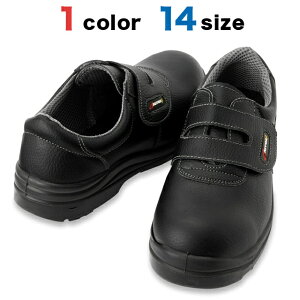 yjpzZ[teBV[YiE^ZC}WbNj@22.0`30.0cm