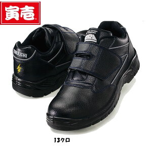 Ј dSC 23.0cm`32.0cm ܕt  SC Xj[J[ R hL  SC d c |S }WbN    h [N