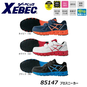 C.ZONE vXj[J[ 22.0`30.0cm SC bV c y ϊ R hL NbV C Xj[J[ S   [N XEBEC W[xbN