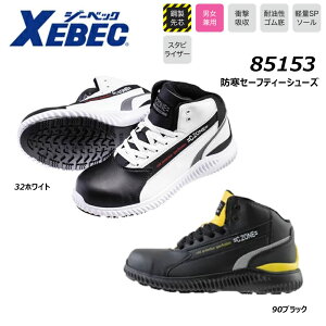 XEBEC hZ[teB[V[Y S`4L SC c h ۉ N ϖ ϊ y NbV jp jZbNX C Xj[J[ V[Y Z[teB[ d   [N W[xb