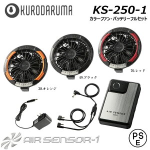 AIR SENSOR KS-250-1 20V J[t@Eobe[tZbg N_} GAZT[ 󒲃EFA M p t@tEFA ^ É K   [N