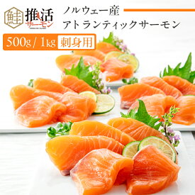 ノルウェー産 推し活サーモンブロック 生食 刺身用(1kg・500g)