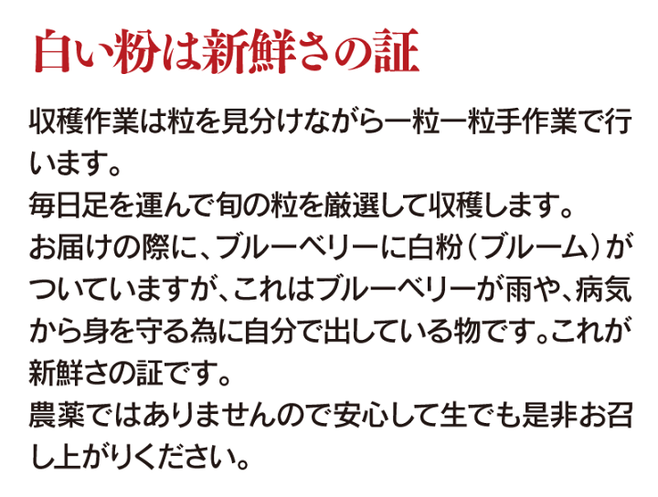 楽天市場】無農薬 生 ブルーベリー 送料無料 農家直送 産地直送