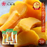 漬物 漬け物 大地の浪漫 たまり漬け 3袋 送料無料 ＜メール便＞ 九州 鹿児島 国産 寒干し 干し大根 だい…