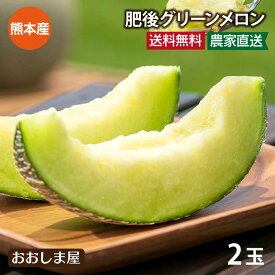 ＼父の日 早期特典900円OFFクーポン！5/31まで／ メロン 2玉入り 送料無料 肥後グリーンメロン ＜ただいま6月上旬より順次出荷＞ 父の日 2024 熊本産 あまい 甘い 青肉 産地直送 農家直送 国産 夏ギフト めろん 高級フルーツ 果物 フルーツ おおしまや【gift】