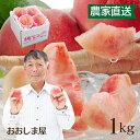 福島の桃 送料無料 福島 桃 もも 1kg（4玉-6玉）＜7月下旬より順次出荷＞ 福島県 菱沼農園 産地直送 農家直送 ギフト プレゼント フルーツ 果物 おおしまや
