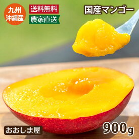 マンゴー 900g 送料無料（大小混合 約2～4玉）＜6月下旬より順次出荷＞ アップルマンゴー 九州・沖縄産 果物 フルーツ おおしまや