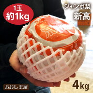 完熟 ジャンボ 新高梨 4kg（4玉）1玉1kg以上 大玉限定 送料無料 ＜10月上旬より順次出荷＞ 特大 国産 フ…