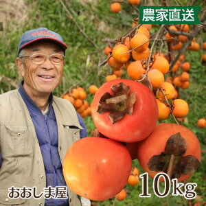 a`  10kgi60ʑOE召j__ ѓc_ g F{Y 11{oׁ ` a 邵` ۊ` Ŋ` 囸i܂j