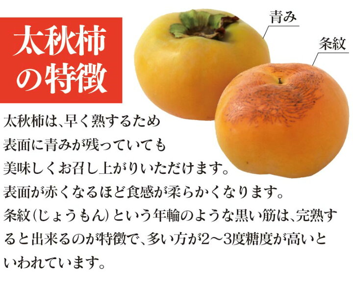 楽天市場 特選 柿 太秋柿 2kg 送料無料 10月下旬より出荷予定 ギフト 贈答 プレゼント 熊本産 大秋柿 たいしゅうがき 甘柿 果物 フルーツ 農家直送 産地直送 大嶌屋 おおしまや Gift おいしさ直送 熊本おおしま屋