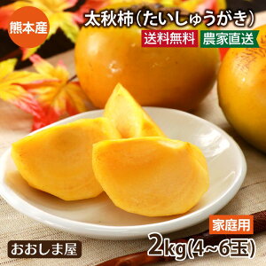 ` H` 2kg  10{oח\聄 X 󂠂 ƒp F{Y H` イ Ê` ʕ t[c _ƒ Yn 囸i܂j