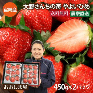 いちご 送料無料 やよいひめ 450g×2パック イチゴ やよい姫 苺 宮崎産 <1月上旬より出荷予定> ギフト箱入り ギフト プレゼント 贈答 農家直送 産地直送 フルーツ 果物 おおしまや【gift】