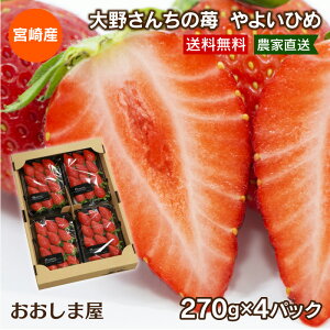 大野さんちの苺 やよいひめ (270g×4パック) 送料無料 宮崎産 いちご イチゴ ご家庭用 <1月上旬より出荷予定> 農家直送 産地直送 おおしまや