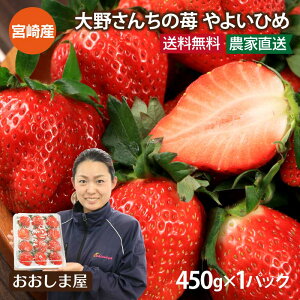 いちご 送料無料 やよいひめ 1パック 450g 9-15粒 イチゴ やよい姫 苺 宮崎産 <1月上旬より出荷予定> ギフト箱入り ギフト プレゼント 贈答 農家直送 産地直送 フルーツ 果物 おおしまや【gift